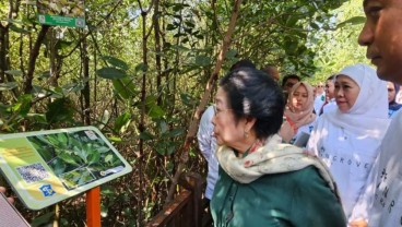 Megawati Meresmikan Hutan Mangrove Surabaya sebagai Kebun Raya