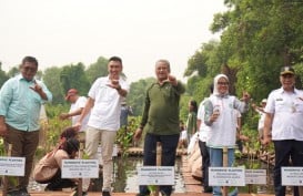 Apical Percepat Perlindungan Ekosistem dengan Penanaman 3.000 Pohon Mangrove