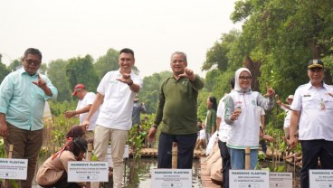 Apical Percepat Perlindungan Ekosistem dengan Penanaman 3.000 Pohon Mangrove