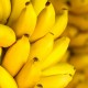 Fruit Storage Chamber, Temuan Banana Lady yang Bisa Memperpanjang Umur Buah Pisang