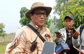 BRIN Survei Lokal di 5 Titik, Diduga Patahan Sesar Cugenang Gempa Cianjur