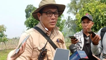 BRIN Survei Lokal di 5 Titik, Diduga Patahan Sesar Cugenang Gempa Cianjur