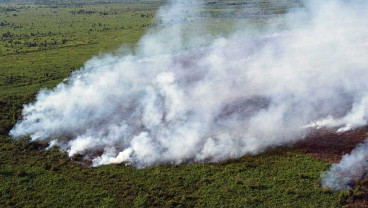 Kebakaran Lahan Gambut di Aceh Belum Bisa Dipadamkan