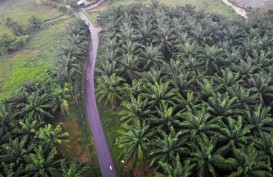 Masuk Investor Baru, KEK MBTK Batal Dicabut Statusnya?