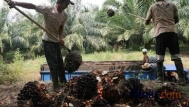 OJK Lanjutkan Komitmen Dukung Peningkatan Pendanaan Petani Sawit