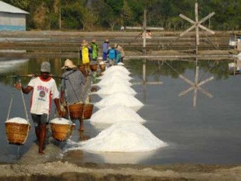 Petani Garam Berharap Ada Stabilisasi Harga Saat Panen Raya