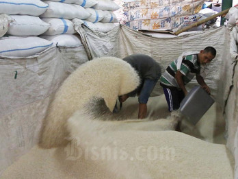 Waspada Beras yang Bisa Kian Mahal dan Langka
