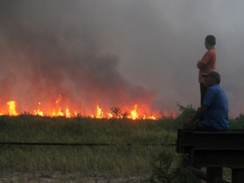 Fitur SOS Satelit Apple Bantu Cegah Kebakaran Hutan di Kanada