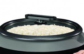 Kelanjutan Program Rice Cooker Gratis, ESDM: Anggaran Masih Diblokir