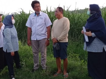 El Nino Ancam Stok Pangan, DPR Minta Pemerintah Amankan Pasokan Gula