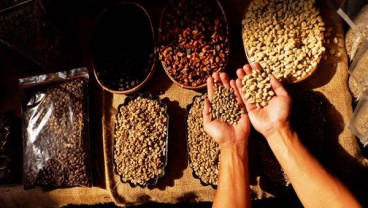 Kolaborasi Louis Dreyfus Company dan Pemda Lampung Tingkatkan Kesejahteraan Petani Kopi