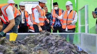 Komoditas Rumput Laut Jatim Merambah Pasar Ekspor di 23 Negara