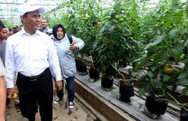 Prabowo Beri Kode, Mantan Menteri Pertanian Amran Sulaiman Akan Merapat