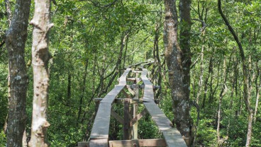 Pemprov Kaltara Berupaya Gandeng BUMN untuk Kembangkan Pariwisata