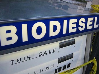 Biodiesel B35 Sedot Dana Sawit Rp4,04 Triliun, Siapa Penikmatnya?