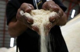 Petani Siap Penuhi Pasokan Gula Jika India Setop Ekspor, Asalkan...