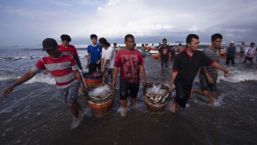 Masyarakat Padang Keluhkan Harga Ikan Naik, Ini Penyebabnya