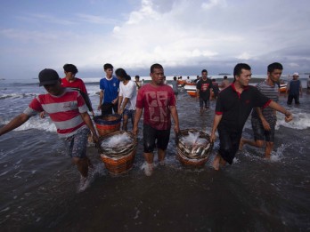 Masyarakat Padang Keluhkan Harga Ikan Naik, Ini Penyebabnya