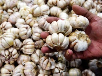 Harga Bawang Putih Makin Mahal, Ini Biang Keroknya
