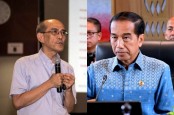 Jual Beli Bantahan Jokowi dan Faisal Basri soal Hilirisasi Untungkan China