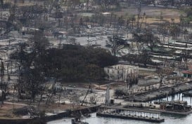 Kebakaran Hebat di Hawai, Pulau Maui Seperti Zona Perang