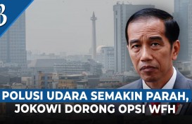 Jokowi Turun Tangan Hadapi Polusi Udara Jabodetabek, Ini Strateginya!