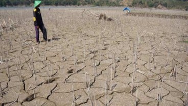 Lamongan, Bojonegoro dan Trenggalek Daerah Rawan Kekeringan akibat El Nino