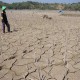 Lamongan, Bojonegoro dan Trenggalek Daerah Rawan Kekeringan akibat El Nino