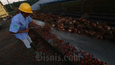 Kecelakaan Kerja Pabrik Sawit, Disnaker Riau Turunkan Tim Investigasi