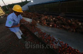 Kecelakaan Kerja Pabrik Sawit, Disnaker Riau Turunkan Tim Investigasi