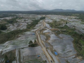 Lumbung Pangan ala Anies Baswedan Diharapkan Tak Ulangi Kesalahan Food Estate Jokowi