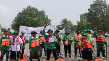 RDMP Kilang Pertamina Plaju Tanam 7.800 Mangrove