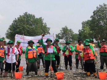 RDMP Kilang Pertamina Plaju Tanam 7.800 Mangrove