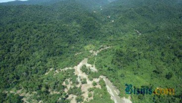 Hutan di Kawasan Eksplorasi Tambang Dompu Diusulkan Berubah Fungsi