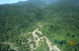 Hutan di Kawasan Eksplorasi Tambang Dompu Diusulkan Berubah Fungsi