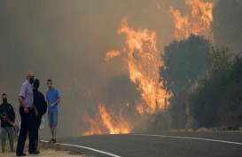 Geger Kebakaran Hutan di Spanyol, Kemlu Update Kondisi 13 WNI di Pulau Tenerife