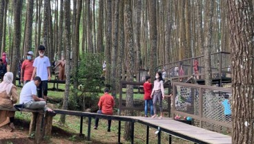 Desa Didorong Buka Lapangan Kerja Baru Selain Petani dan Nelayan