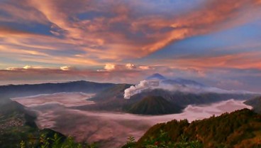 Kebakaran Hutan di Taman Nasional Bromo Tengger Semeru Berhasil Dipadamkan