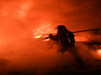 Kebakaran Hebat di Hutan Yunani, 18 Imigran Tewas Terbakar