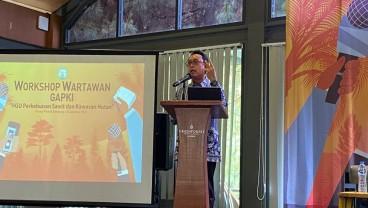 Terimbas El Nino, Produksi Sawit Terjun Bebas?