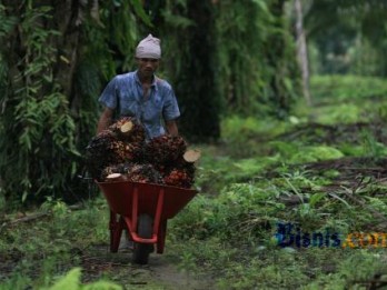 Pengusaha Sawit Bantah Pemutihan 3,3 Juta Ha Lahan Sawit Rugikan Negara