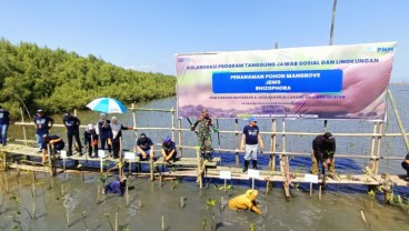 HUT ke-78 RI, PNM Tanam 22.000 Pohon Mangrove untuk Tekan Polusi