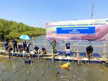 HUT ke-78 RI, PNM Tanam 22.000 Pohon Mangrove untuk Tekan Polusi