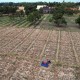 4.000 Hektare Lahan di Jabar Terkena Dampak El Nino
