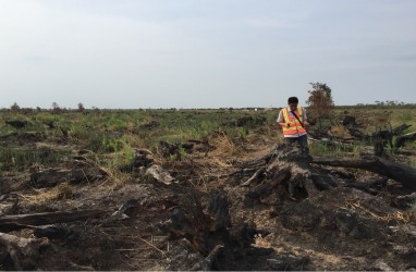 Kebakaran Landa 1.178 Lahan di Sumsel, Ini Tiga Daerah Paling Rawan