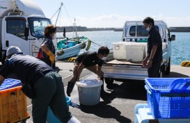 Blokade Impor Seafood di Balik Pembuangan Air Radioaktif Nuklir Jepang