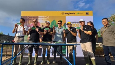 Jelang Maybank Marathon, 2.000 Bibit Mangrove Ditanam di Bali