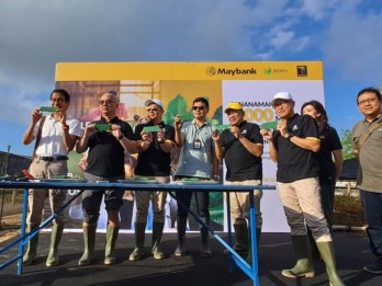 Jelang Maybank Marathon, 2.000 Bibit Mangrove Ditanam di Bali