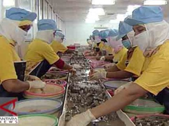 KKP: Impor Produk Ikan Asal Jepang Relatif Minim