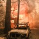 Polisi Bakal Selidiki Penyebab Kebakaran di Kawasan Taman Nasional Gunung Ciremai